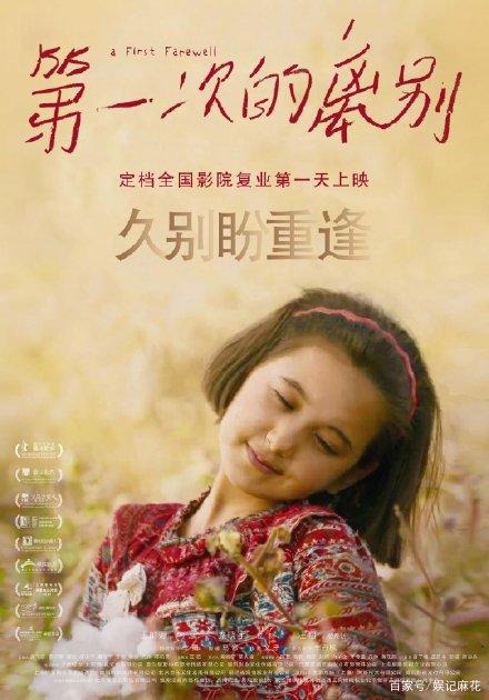 怎么买假的斯洛伐克护照